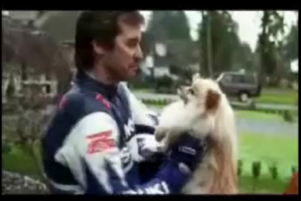 וידאו: ככה מוציאים את הכלב לטיול