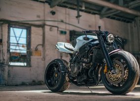 הונדה CBR954RR עירום Angry Bird