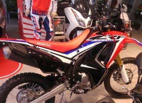 עולה חדש – הונדה CRF250RALLY