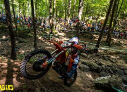 לטנביכלר שולט ב־TKO בטנסי